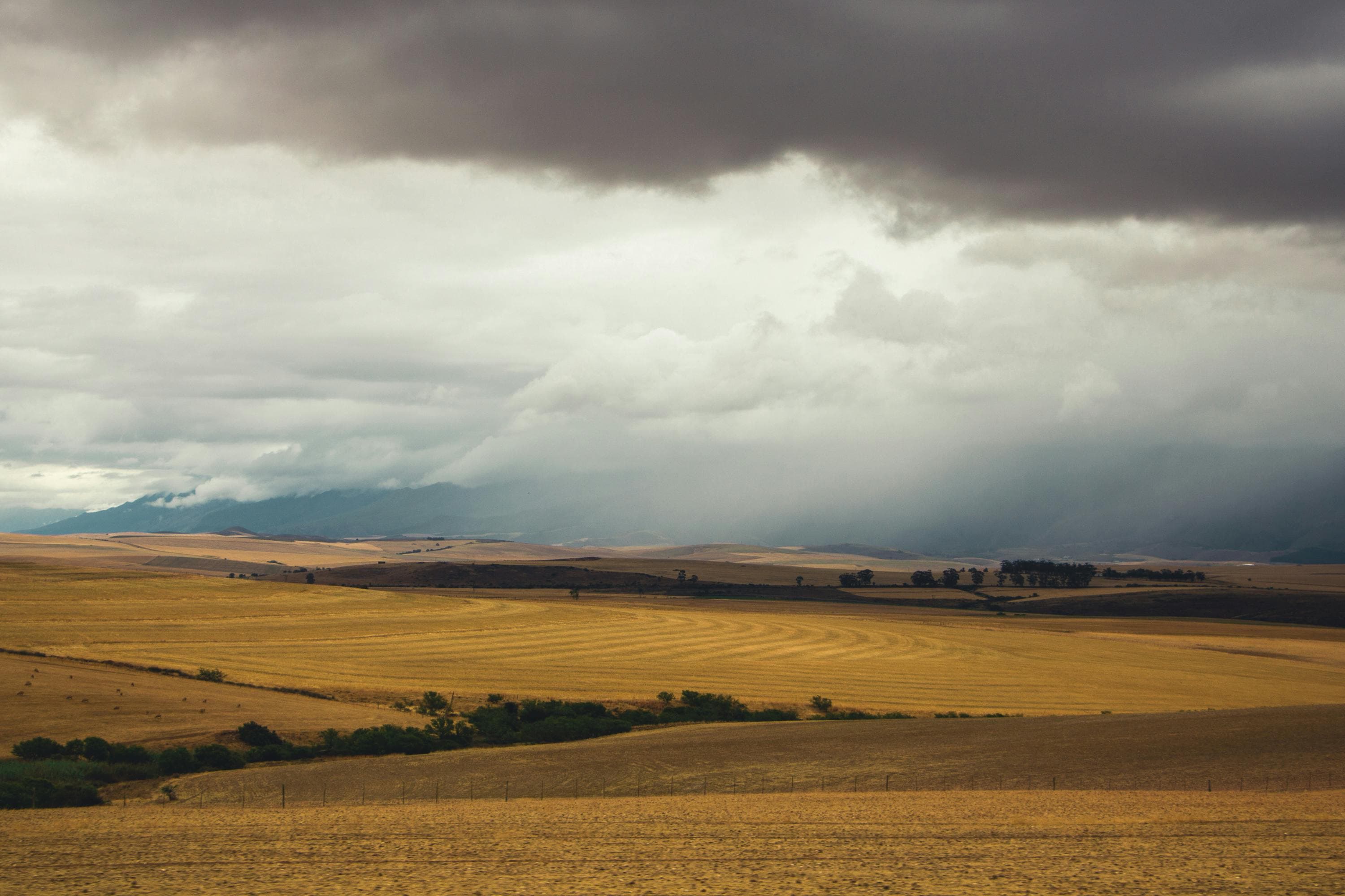 Farm landscape, Free State highlands, morning light